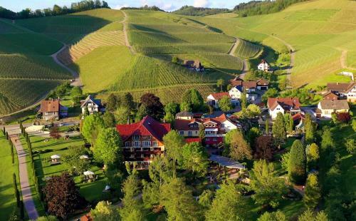 Hotel Rebstock Durbach
