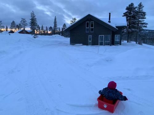 Lodge Trysilsetra 40