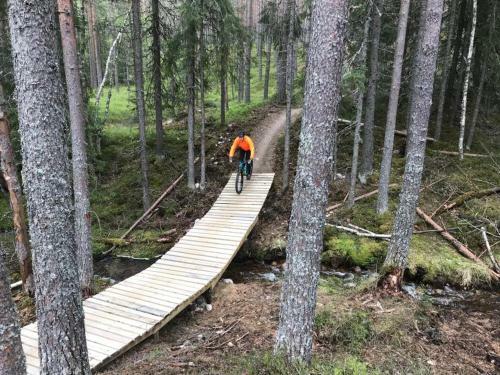 Lillebj�rn