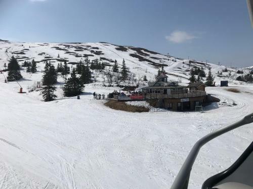 Lillebj�rn
