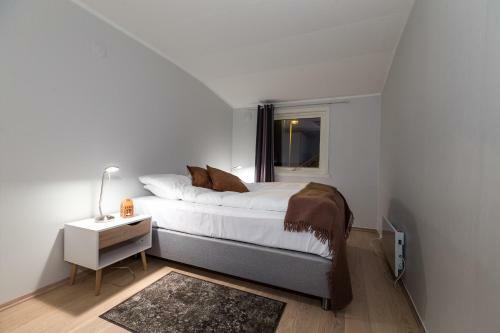 Enter Viking Apartments