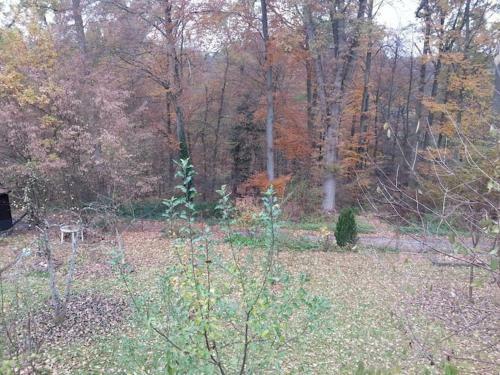 Apartamento Ferienwohnung Idylle Am Waldrand