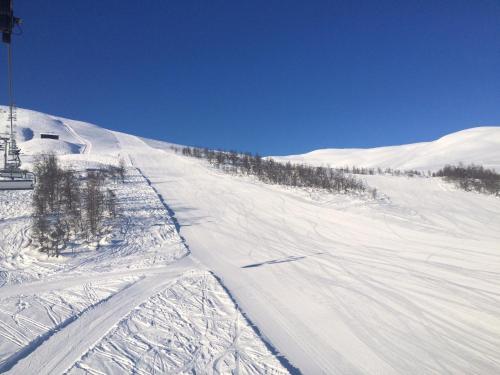 Oppheim-myrkdalen Privat Hytte