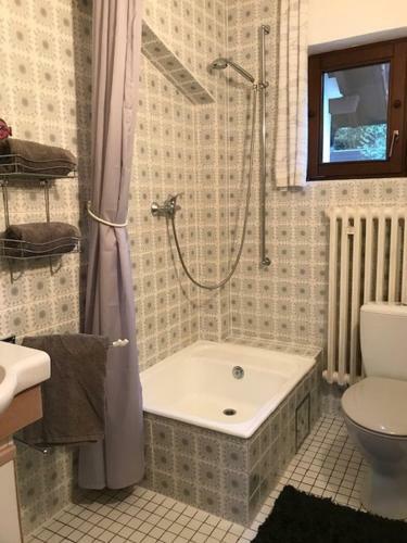 Apartamento Ferienwohnungen Am Forsthaus