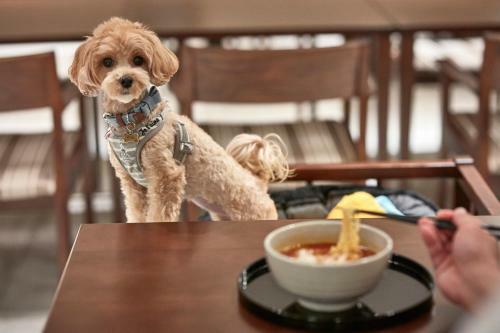 Hotel Le Chien Kyukaruizawa