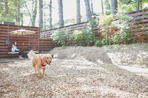 Hotel Le Chien Kyukaruizawa