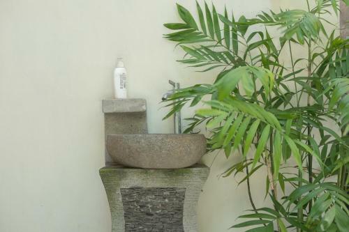 Hostal Mupu Jana G.house Keramas