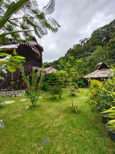 Green Travelodge Bukit Lawang