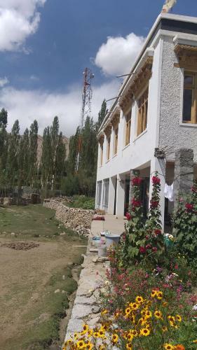 Hostal The New View Guest House