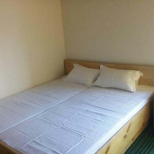 Apartamento Norbu Ree Homestay Leh
