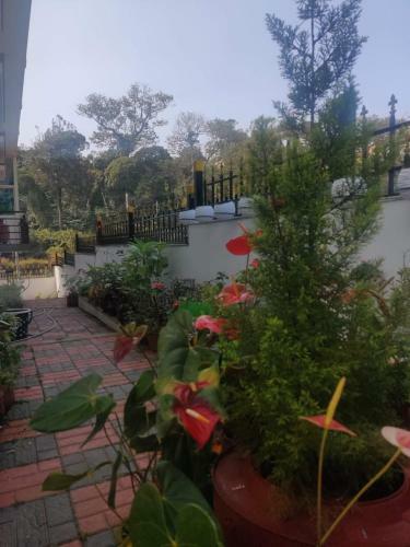 Apartamento Nisargavana Homestay