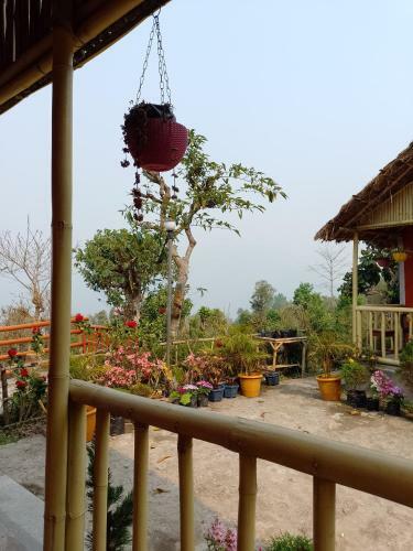 Teesta Rangeet Cottages And Thatched Huts