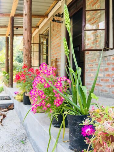 Agroturismo Quo Vadis Farm