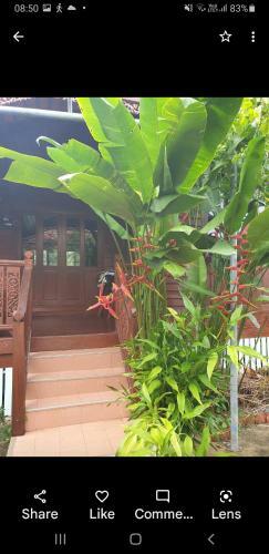 Thai Wooden House At Kata