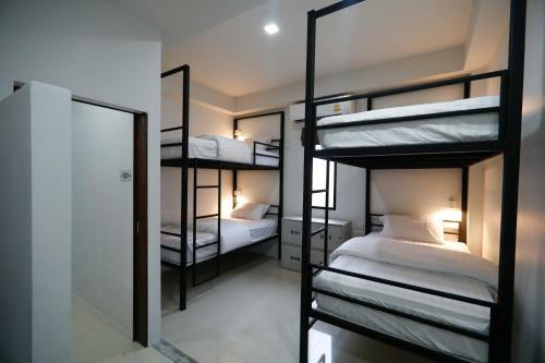 Albergue Tall Tree Kata Phuket