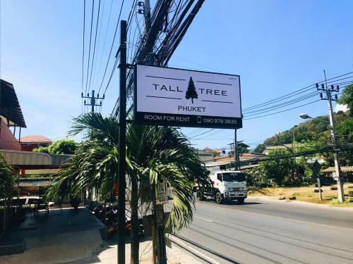 Albergue Tall Tree Kata Phuket