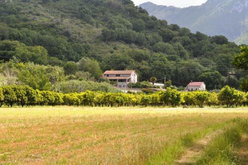 Agroturismo I Cedri Agriturismo