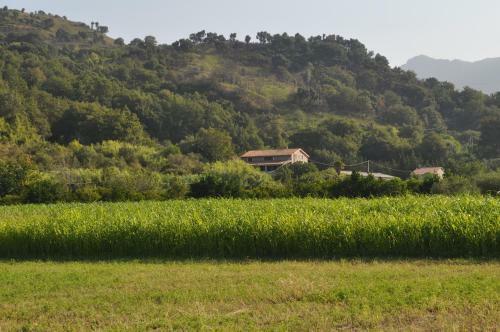 Agroturismo I Cedri Agriturismo