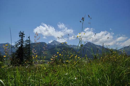 Apartamento Landhaus Alpensonne