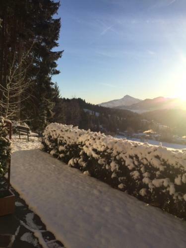 Apartamento Haus Colorado Am Gaisberg