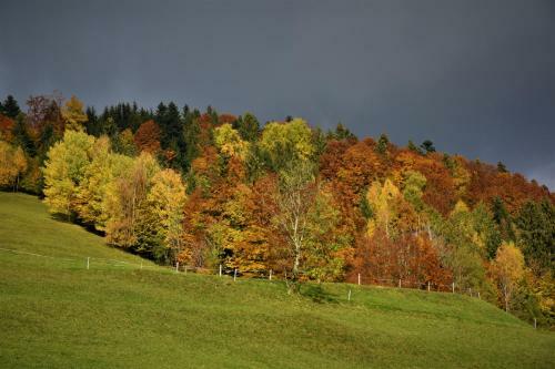 Agroturismo Ferienhaus Brittenberg