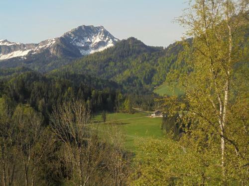 Apartamento Ferienhaus Nussbaumer
