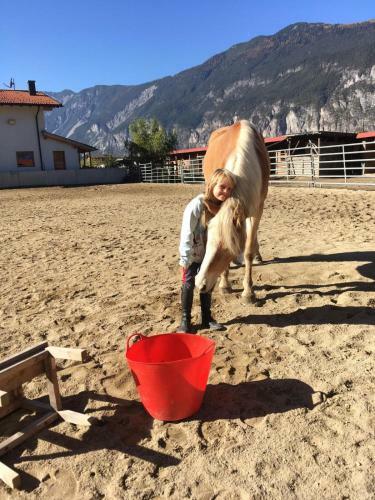 Bed & Breakfast Margit's Ranch Urlaub Am Pferdehof