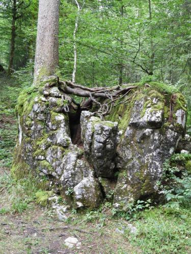 Apartamento Kr�henberg Am Rande Der Wildnis