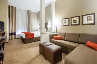 Hotel Comfort Suites Marietta
