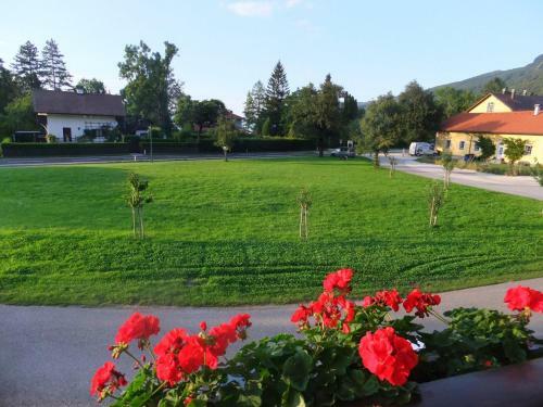 Apartamento G�stehaus Riki Oberschmid