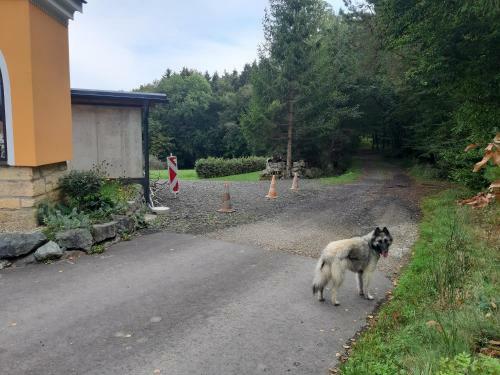 Ferienhaus Eos In Der "steirischen Toskana" Straden