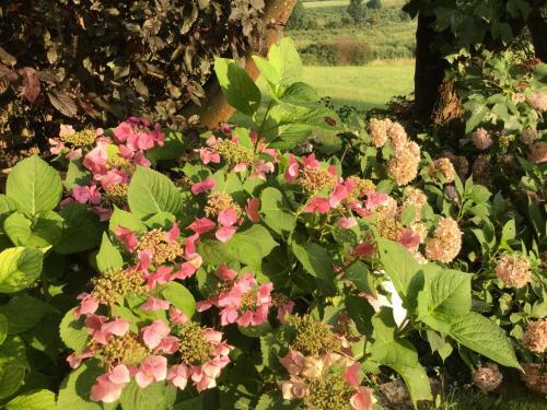 Hostal Landhaus Grete