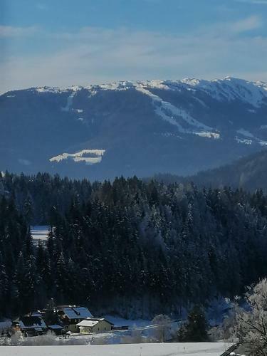 Apartamento Appartement Taurachblick
