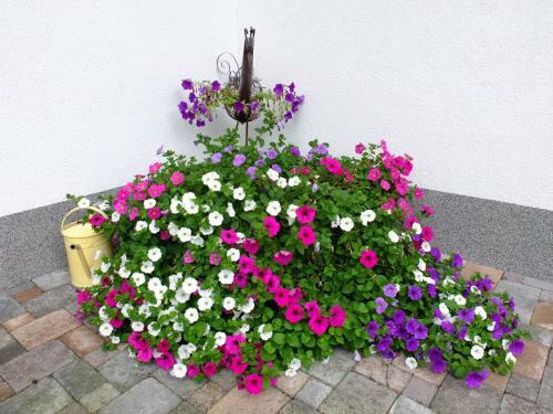 Hostal Wanderpension - Garni Rief - Adults Only