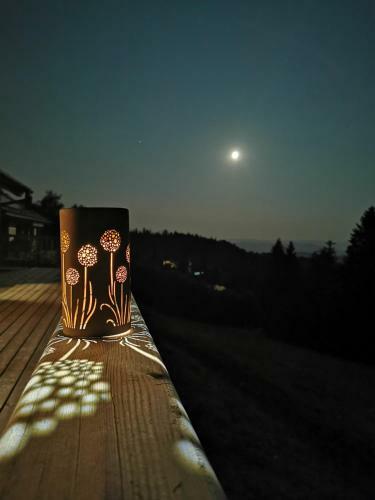 Das Koralpenchalet...sonne, Wald, Natur!
