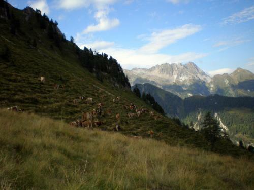 Hostal Bauernhof Im Zillertal, Der Badererhof