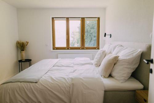 Apartamentos Bacherlhaus