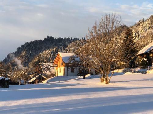 Apartamento Alpenhaus L�rchenwald