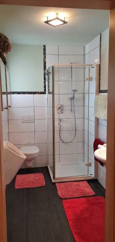Apartamento Appartment Schatz