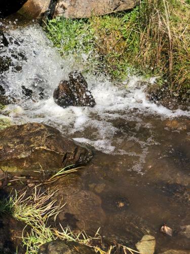 Apartamento Landhaus Andrea