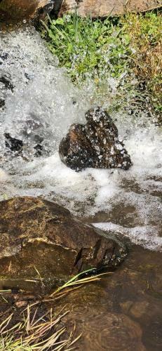 Apartamento Landhaus Andrea