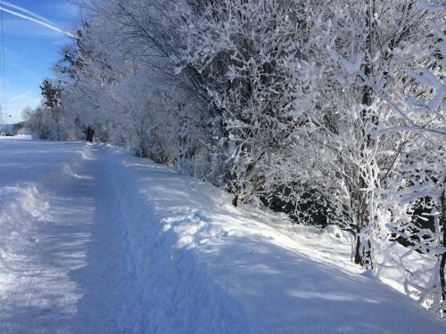 Apartamento Appartement Anton