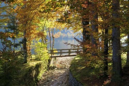 Apartamento Appartement Anton