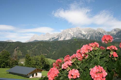 Apartamento Haus Bergliebe