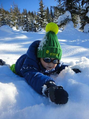 Apartamento Haus Bergliebe