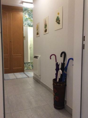 Apartamento Appartement Planaiblick