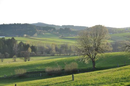Apartamento Ferienwohnung Felhofer