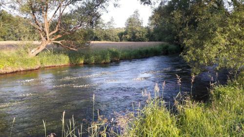 Apartamento Ferienwohnung Felhofer