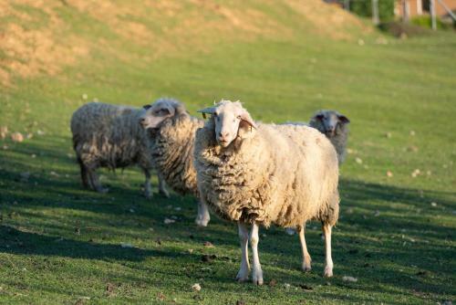 Hotel Vinn� Sklepy Skal�k