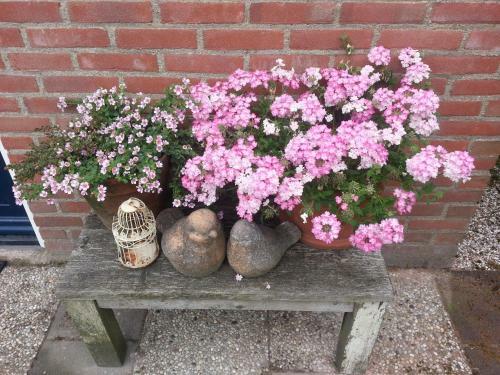 Apartamento 't Kistje Bed By The Sea